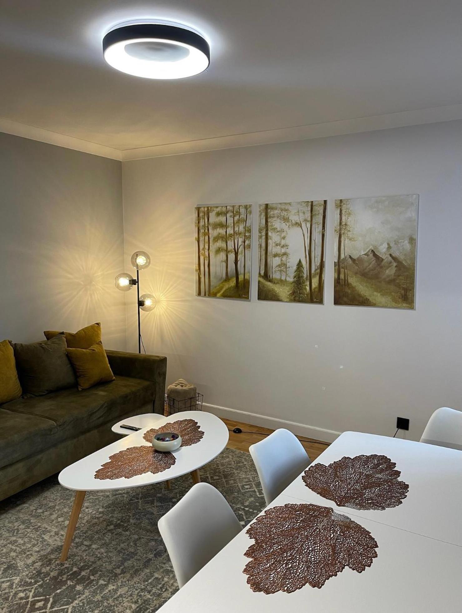 Premium Apartment In Quiet & Historical Area リガ エクステリア 写真